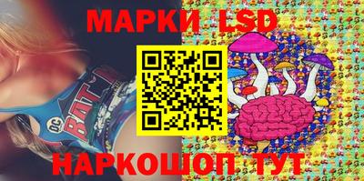 прущие грибы Сланцы