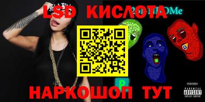прущие грибы Сланцы